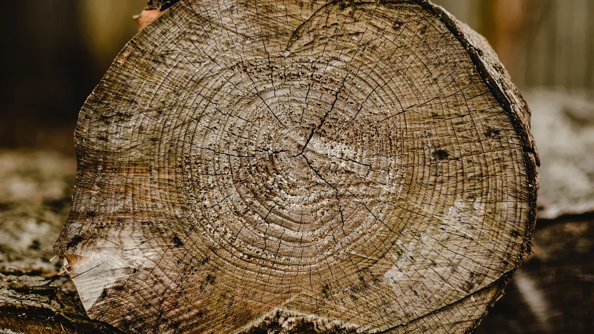 Evaluating Cutting Depth